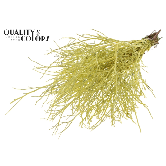 <h4>Huckelberry per bunch Creme</h4>