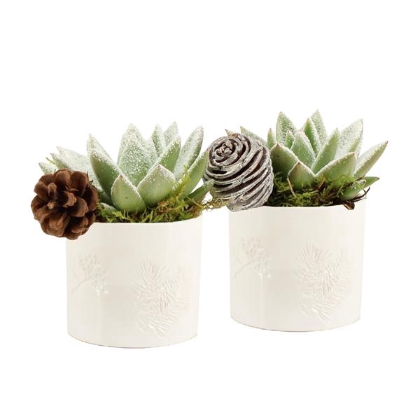 <h4>61686: X-mas arrangement</h4>