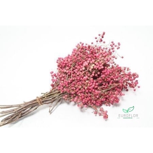 PEPPERBERRIES PINK 200GR 35CM