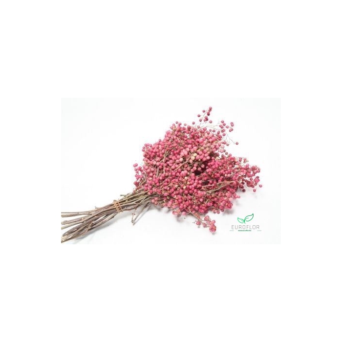 <h4>PEPPERBERRIES PINK 200GR 35CM</h4>