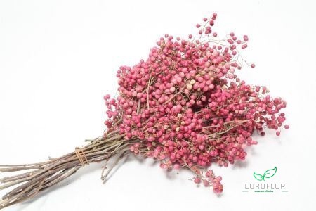 PEPPERBERRIES PINK 200GR 35CM