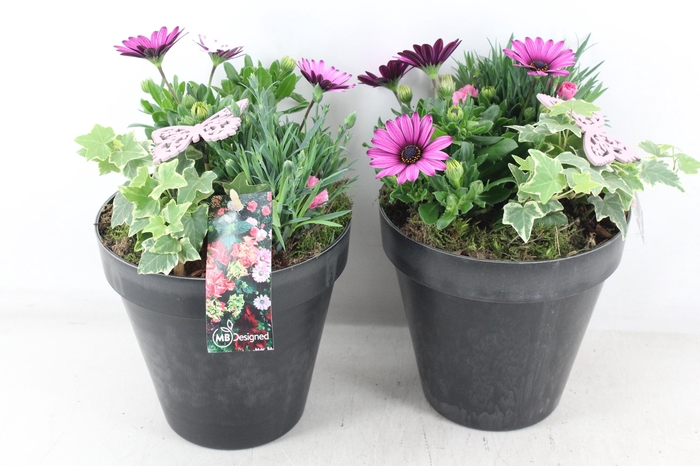 <h4>arr4 Outdoor MB - Kunststof bloempot black</h4>