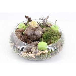 arr4 Amaryllis MB - Glas schaal ribbel