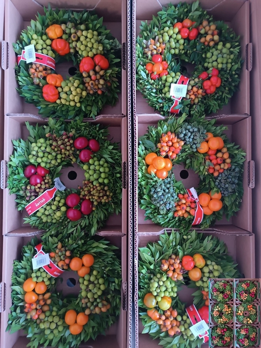 <h4>SIERFRUIT KRANS H%</h4>