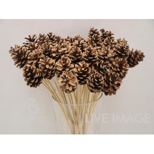 Stick pinecone naturel