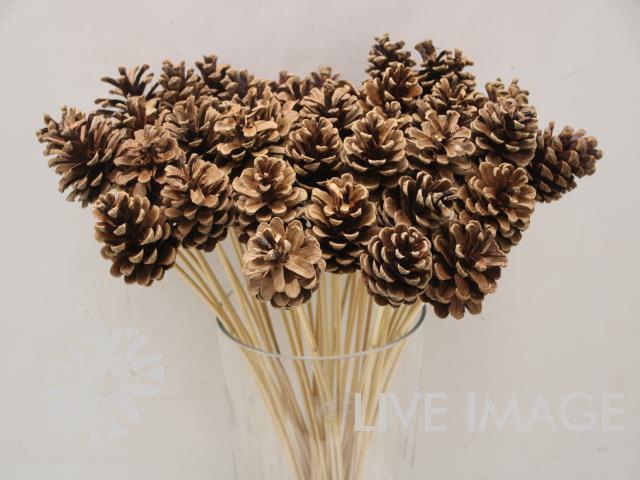 <h4>Stick pinecone naturel</h4>