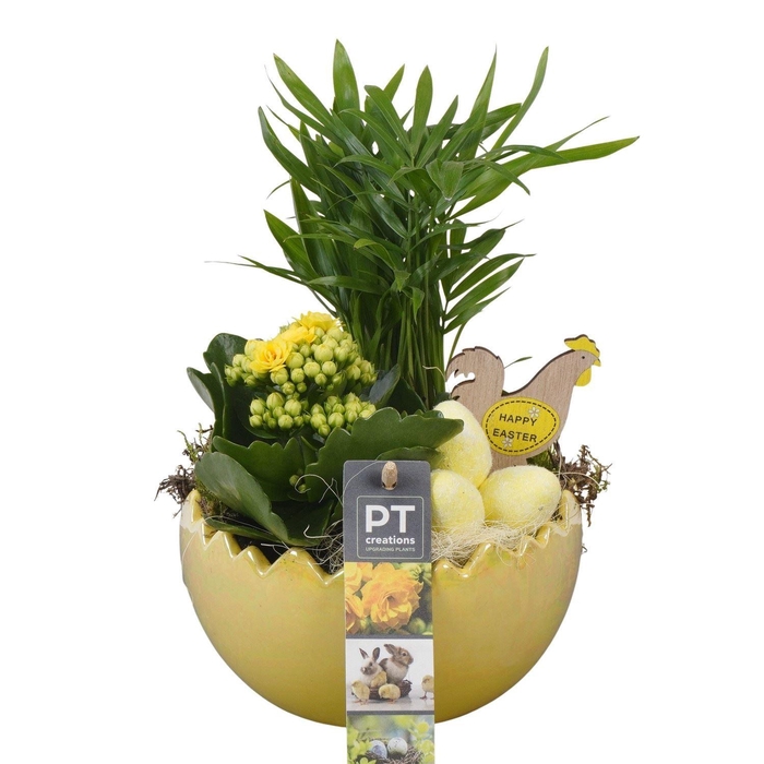 <h4>Arr. Pasen L%</h4>