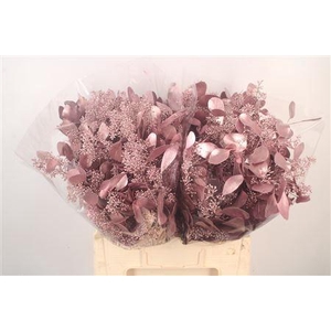 Euca Populus Berry V Pink Metallic