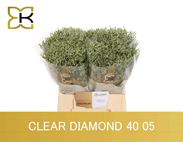 <h4>LIM SIN CLEAR DIA</h4>