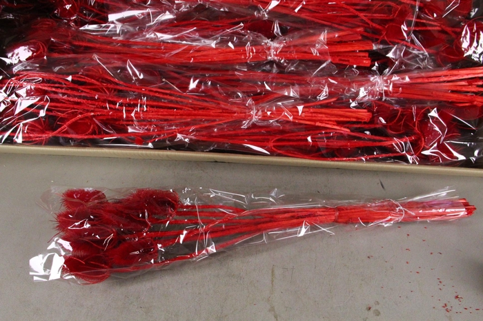 <h4>DF Dipsacus Red Bs 130g</h4>
