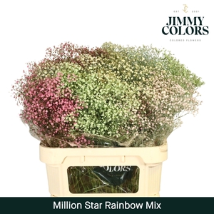 Gyps Million Star L80 Rainbow mix