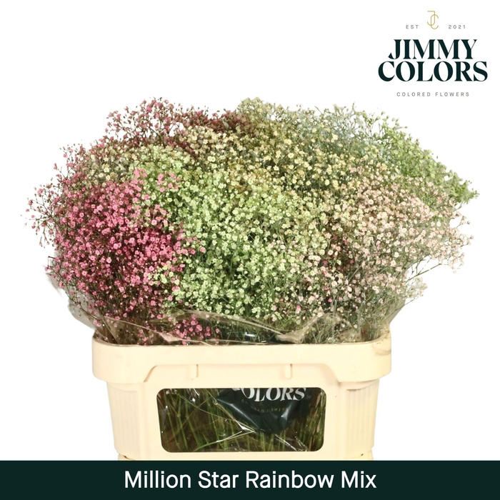 <h4>Gyps Million Star L80 Rainbow mix</h4>