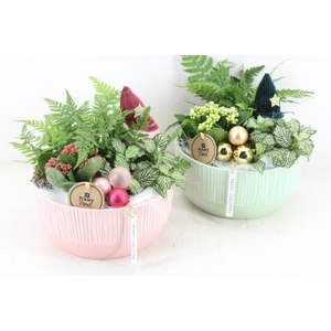 arr2 PL - Ker. schaal groen/roze x2