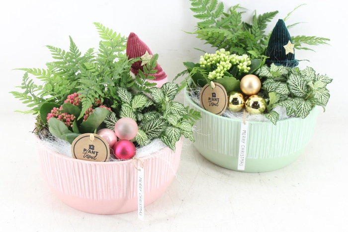 <h4>arr2 PL - Ker. schaal groen/roze x2</h4>