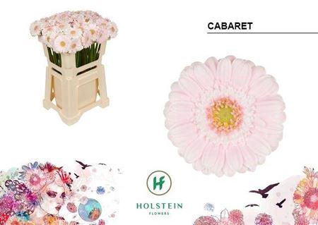 <h4>Ge Mi Cabaret</h4>