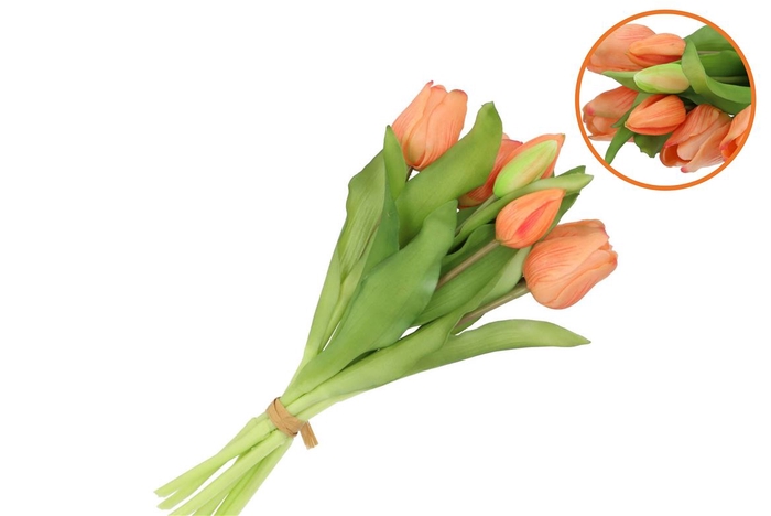 <h4>Silk Tulip Bouquet 7x Apricot 17x30cm</h4>
