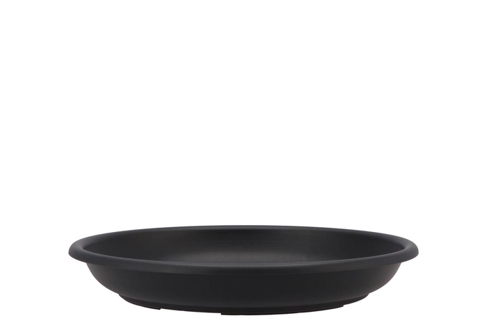 Floristry Plate 28cm P/10 Black