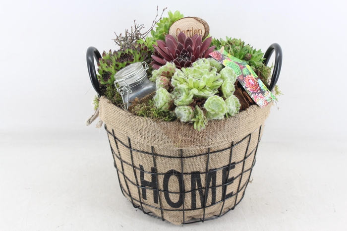 <h4>arr4 Semp MB - Jute/gaas mand home XL</h4>