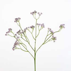 AF Gypsophila spr L62cm l.li