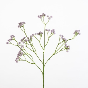 AF Gypsophila spr L62cm l.li