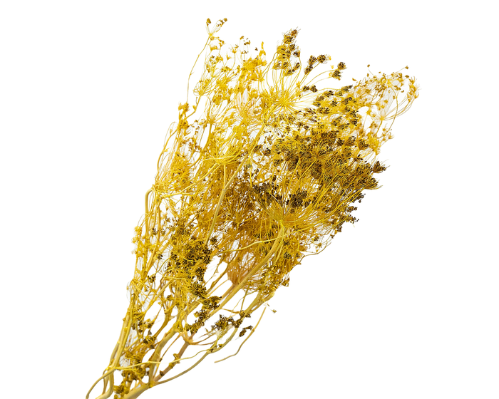 <h4>Bupleurum Yellow</h4>