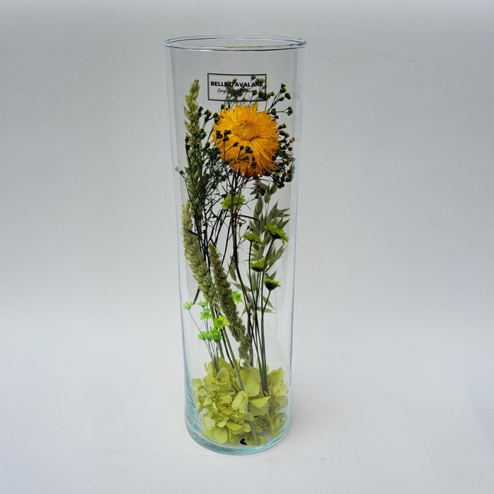 Cilinder d9x30h droog geel-groen