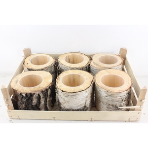 arr3 GB - Schors pot x6