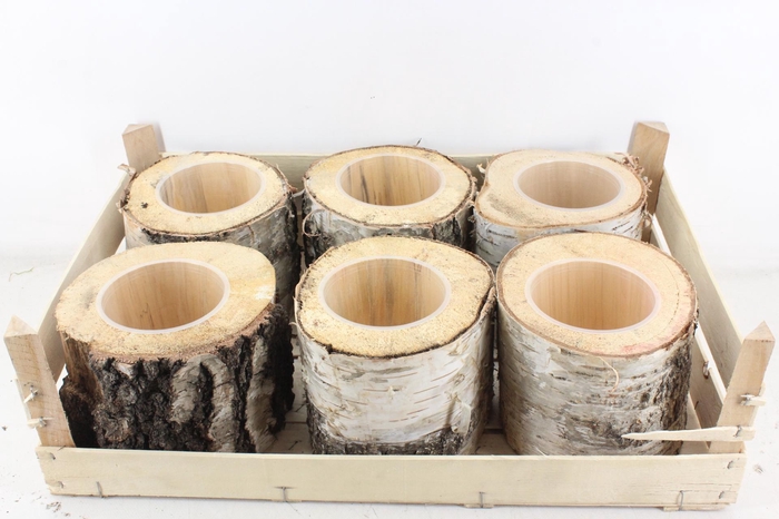 <h4>arr3 GB - Schors pot x6</h4>