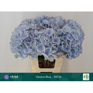 HYDR M CH VERENA BL