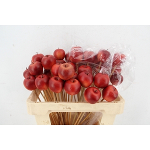 Stick Apple 6cm/Large Red