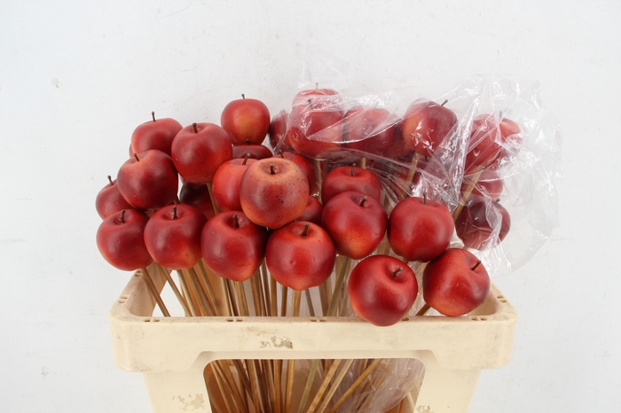 <h4>Stick Apple 6cm/Large Red</h4>