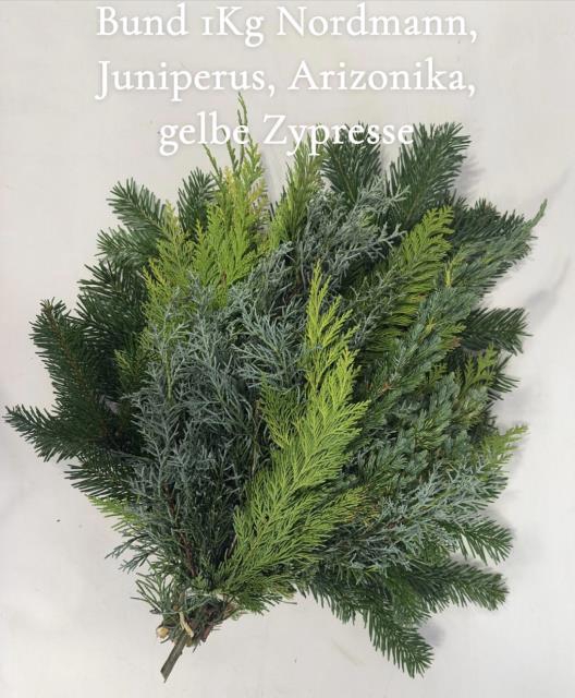 <h4>KERSTGROEN OV BS</h4>