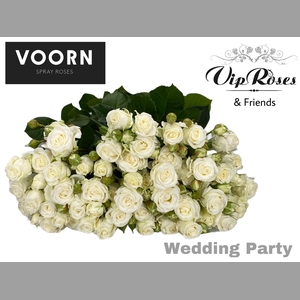 R TR WEDDING PARTY