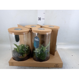 Arr.    Planten  H%