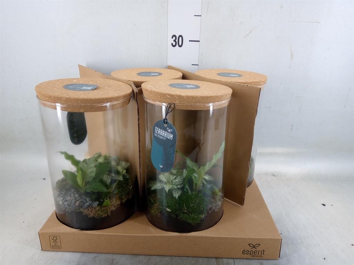 Arr.    Planten  H%