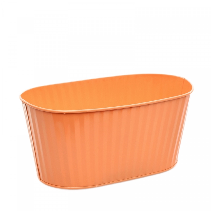 <h4>Zink Ferre bak 22*12*10cm</h4>