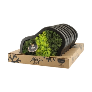 90653: Moss Art arrangement D30