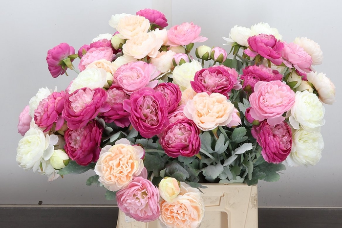 <h4>Deco Stem Ranunculus Lovely Mix X5</h4>