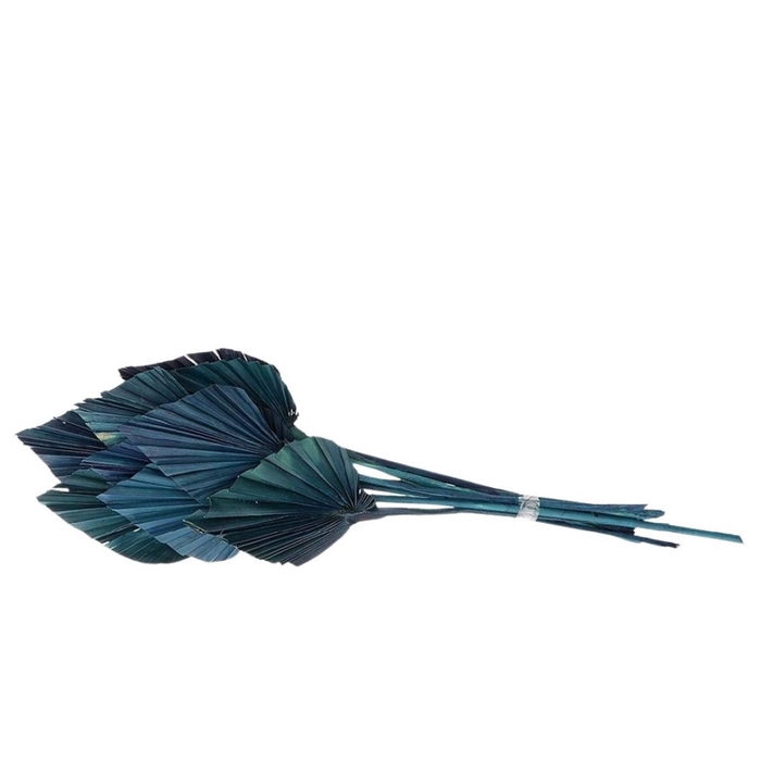 <h4>Dried flowers Palm Spear 50cm x10</h4>