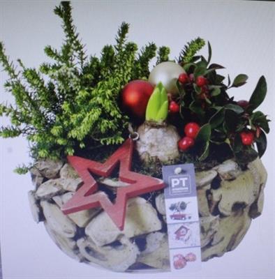 <h4>1905 ROOD  LATJES ROND</h4>