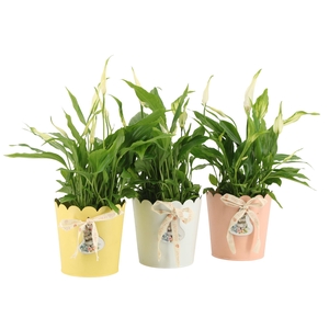 4501132: Solutionss Easter