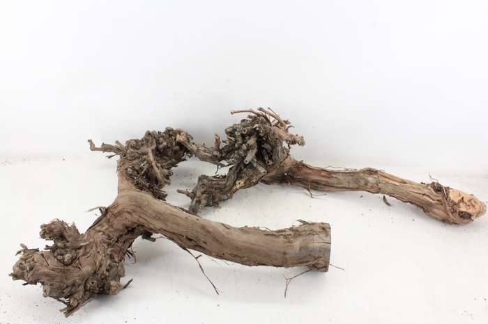 <h4>arr3 GB - Druivenhout XL</h4>