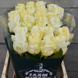 R GR CREME DE LA CREME