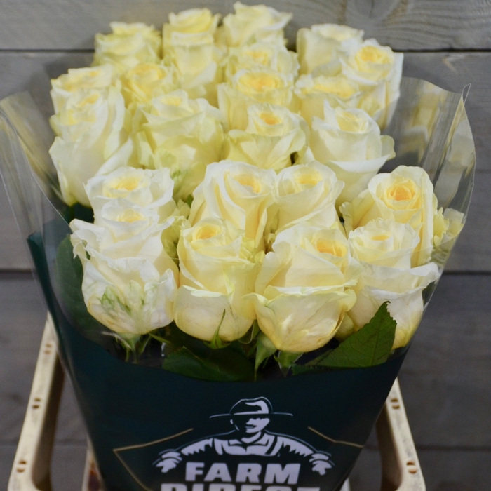 <h4>R GR CREME DE LA CREME</h4>