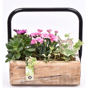 Hout rechthoek met hendel 26x11cm