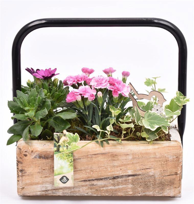 <h4>Hout rechthoek met hendel 26x11cm</h4>