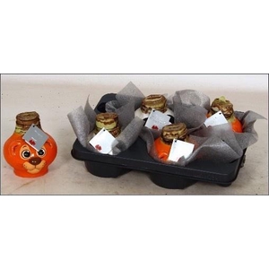 !! PROMO !! HIPP WAX ANIMAL