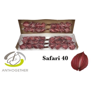 ANTH A SAFARI 40 smart pack