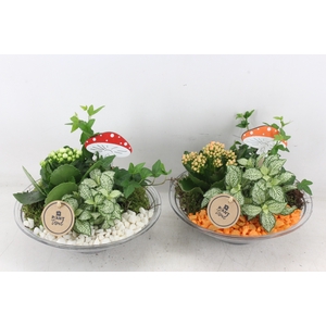 arr2 PL - Glas schaal 23cm - oranje/wit