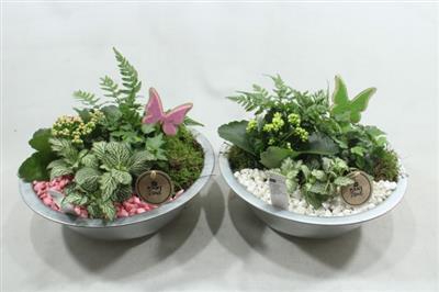 <h4>4478 ZINK INDOOR RO/WIT</h4>